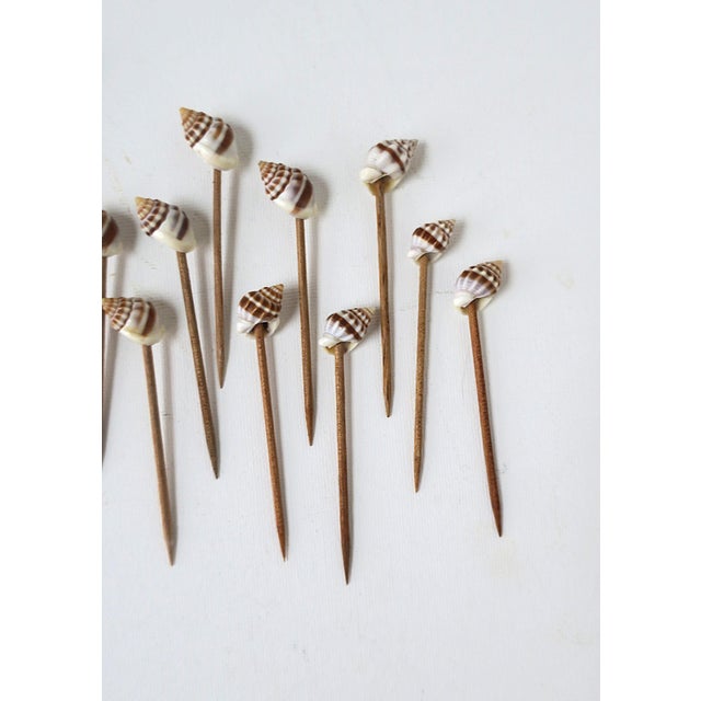 Seashell Appetizer Picks, Set of 23 For Sale In New York - Image 6 of 9