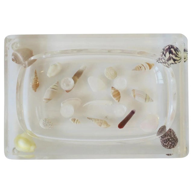 Seashell and Acrylic Soap Dish For Sale - Image 13 of 13