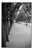 Paul Cooklin, Royal Palace Garden, Paris, Edition of 50 For Sale