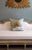 Textile White Tree Peony Bloom in Rodin Museum Garden Paris Photo Pillow For Sale - Image 7 of 13