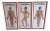 Vintage Chinese Acupuncture Points and Meridian Anatomical Tables, 1960, Set of 3 For Sale
