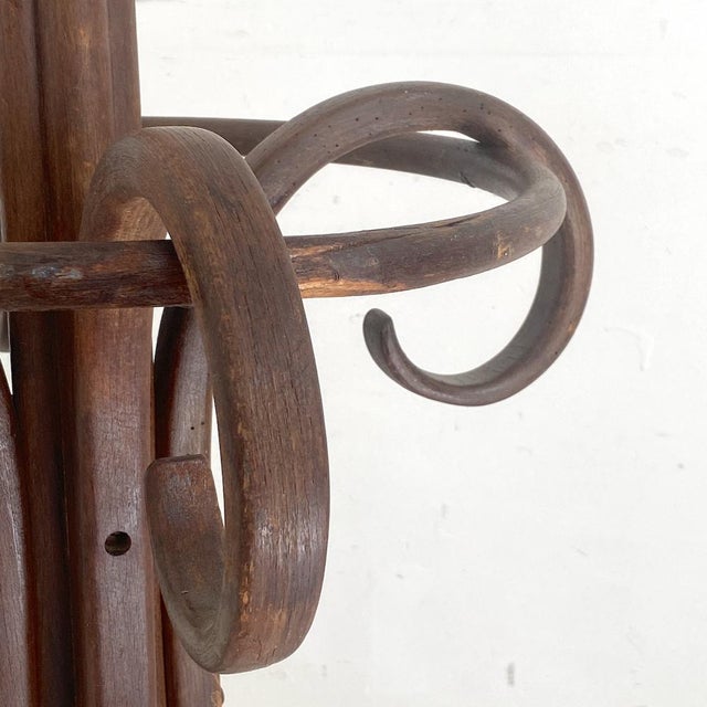Wood Bentwood Parrot Coat Rack, 1890s For Sale - Image 7 of 11