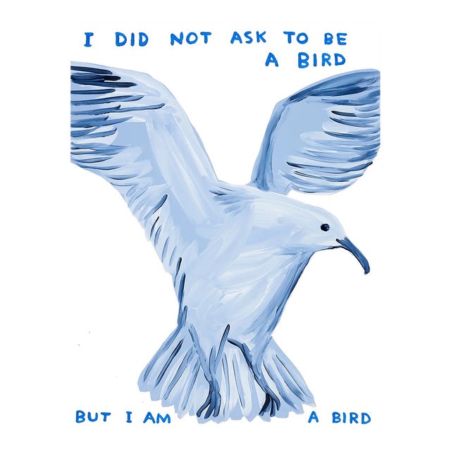 David Shrigley I Did Not Ask to Be a Bird Lithograph Poster, 2021 For Sale