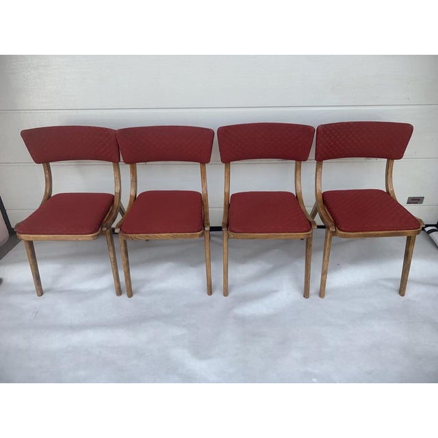 Dining Chairs from Zakłady Mebli Giętych Radomsko, 1960s, Set of 4 For Sale - Image 13 of 18