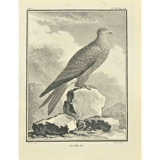 Milan is an etching realized by Jacques Baron in 1771. The artwork Belongs to the suite "Natural, general and particular...