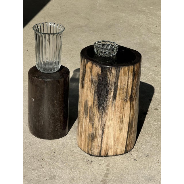 Petrified wood side table black heart bark cappuccino H40 D25. Petrified wood is a wood fossil (same family as magnolia)...