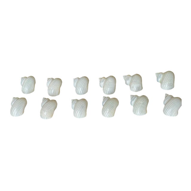 1960s Coastal Table Decor- Dozen Turbo Sea Shells Napkin Rings Mother of Pearl - 12 pcs For Sale