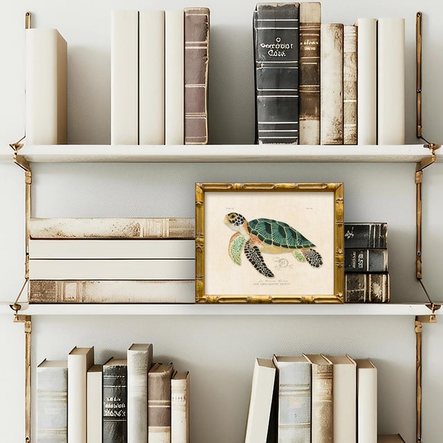 This is our framed green sea turtle print from our vintage "Les Animaux Marins" series. Please note there are 6 images in...