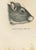 Gerbil is an original lithograph on ivory-colored paper, realized by Paul Gervais (1816-1879). The artwork is from The...