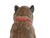 Austrian Cold-Painted Terracotta Model of a Seated Pug Dog With Glass Eyes, Life Size For Sale - Image 15 of 17