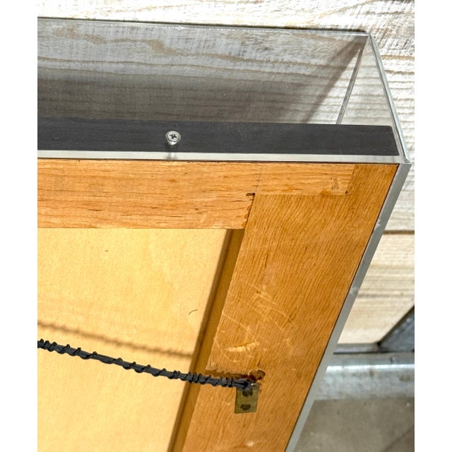 Mid 20th Century Framed Mid-20th C. Lakota (Sioux) Beaded Saddle Bag Panel, Museum Mounted For Sale - Image 5 of 18