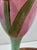 Late 20th Century Kosta Boda “Tulipa” Hand-Painted Art Glass Goblets by Ulrica Hydman-Vallien – Pair For Sale - Image 10 of 18