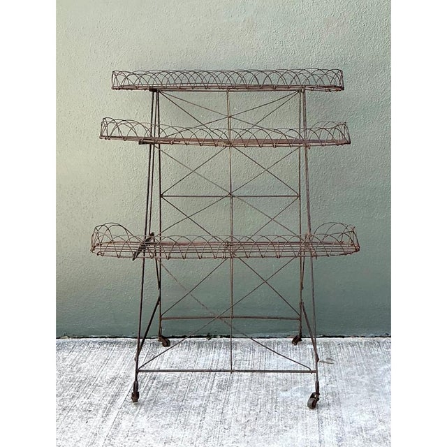Mid 20th Century Vintage Three-Tier Wire Plant Stand For Sale - Image 5 of 12