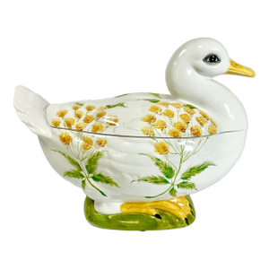 Mid-Century Italian Boho Chic Rustic European Duck Soup Tureen