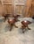 1950s 1950s Vintage Sculpted Mahogany Tripod Stools After Adolf Loos - Set of 4 For Sale - Image 5 of 10