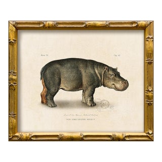 Contemporary Reproduction of Vintage Framed Hippo Giclee Print For Sale