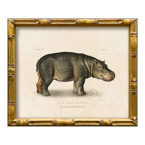 Contemporary Reproduction of Vintage Framed Hippo Giclee Print