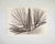 Hans Hartung, Untitled, L112, 1963, Lithograph For Sale - Image 4 of 5