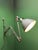 1930s industrial scissor lamp designed by renowned german designer curt fischer for midgard . these lamps were fixed to...