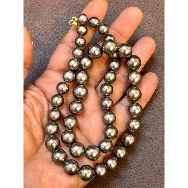 8-11.5 mm Tahitian Black Graduating Pearls Strand Necklace Yellow Gold Clasp 18K For Sale - Image 11 of 18