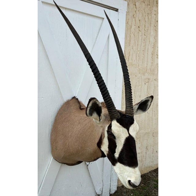 Great condition. minor ware. Super quality. Please see photos as they are considered part of the description. Huge African...