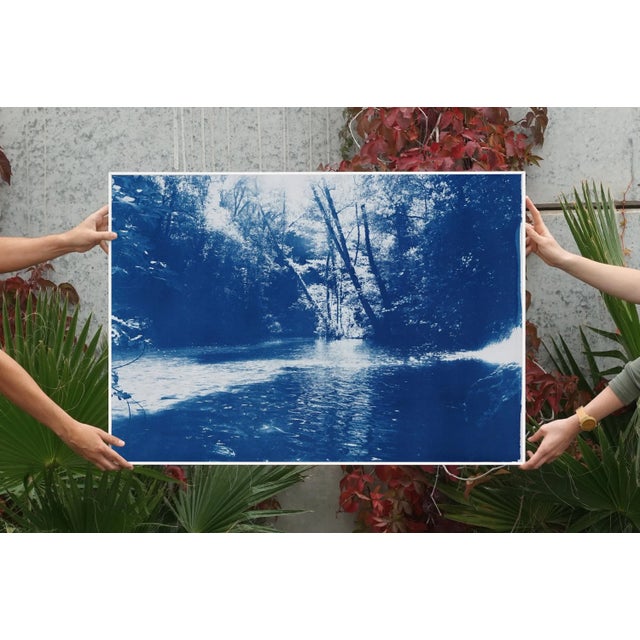 Blue 2020 Kind of Cyan, Contemporary Cyanotype of Scandinavian Enchanted Forest For Sale - Image 8 of 12