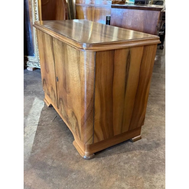 19th Century 19th Century Italian Walnut Cabinet For Sale - Image 5 of 6