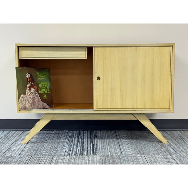 Mid-Century Modern Credenza / Buffet ~ Great Tv Stand or Record Cabinet For Sale In Saint Louis - Image 6 of 10