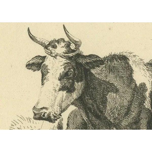 Early 19th Century Anthony Oberman, Pastoral Scene with Two Resting Cows, 1810, Print For Sale - Image 5 of 8
