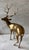 Large Vintage Solid Brass Stag For Sale - Image 4 of 8