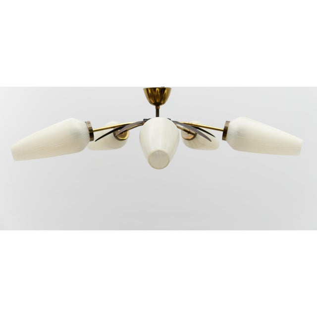 Mid-Century Modern Mid-Century Modern 5-Armed Brass and Glass Sputnik Lamp, 1950s For Sale - Image 3 of 13