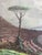Mid 20th Century Mid-20th Century Carlo Ciappa “Bay of Naples by Moonlight” Signed Oil on Canvas For Sale - Image 5 of 11