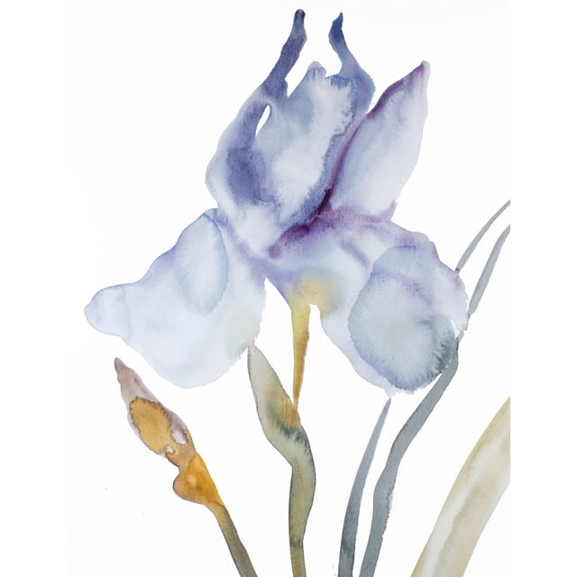 Original watercolor painting on 140 lb cold press paper Artist: Elizabeth Becker Year: 2022 Image and Paper Size: 18" x...