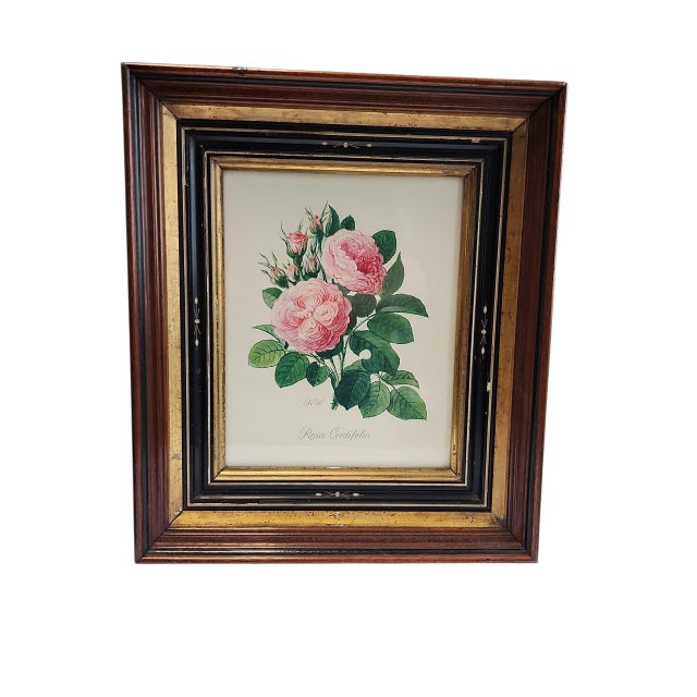 Early 20th Century Antique Floral Prints in Mother of Pearl Inlay Wooden Frames - A Pair For Sale - Image 5 of 7