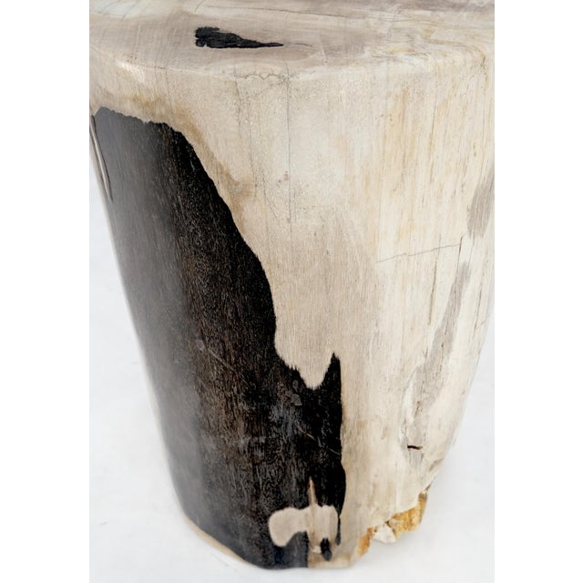 Large Beige Petrified Wood Organic Stomp Shape Stand End Side Table Pedestal