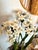 White Vintage Mid-Century White Tole Narcissus Floral Arrangement Botanical Paperwhites Sculpture Circa 1950s For Sale - Image 8 of 11