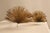 Metal Curtis Jeré Mid Century Modern Urchin Wall Sculpture For Sale - Image 7 of 18