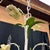 White Vintage Italian Style Painted Tole Floral 6-Arm Chandelier With Yellow Roses For Sale - Image 8 of 13