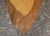 Mid 20th Century Mid 20th Century Live Edge Coffee Table W/ Butterfly Notch For Sale - Image 5 of 11