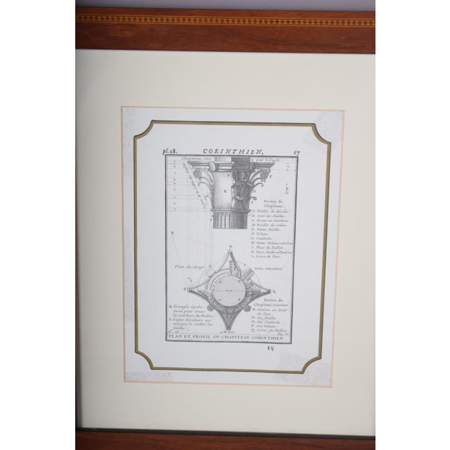Architectural Illustrations of Classical Columns, 19th Century, Engravings, Framed, Set of 4 For Sale - Image 4 of 8