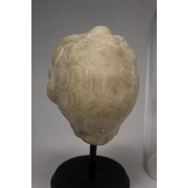 18th Century 18th C or Earlier, Italian Grand Tour Marble Head of a Young Child W/ Cloche For Sale - Image 5 of 10
