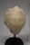 18th Century 18th C or Earlier, Italian Grand Tour Marble Head of a Young Child W/ Cloche For Sale - Image 5 of 10