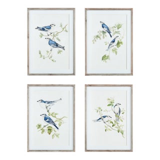 Blue Birds Prints, Set Of 4 For Sale