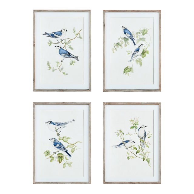 Blue Birds Prints, Set Of 4 For Sale