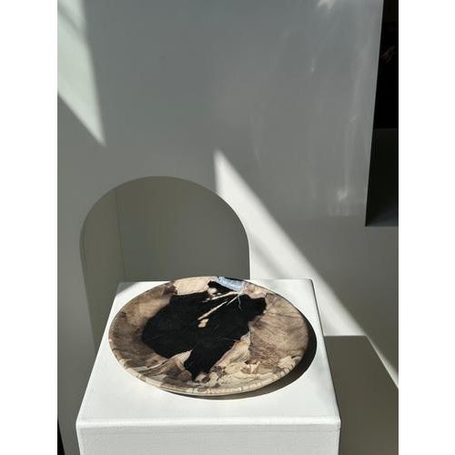 Large Vide-Poche or Dish in Petrified Wood For Sale - Image 9 of 18