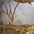 Brass Rhubarb Leaf Lamp by Tommaso Barbi, 1970s For Sale - Image 9 of 13