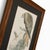 19th-Century Framed John Gould Red Kite | Original Antique Bird Print For Sale - Image 10 of 12