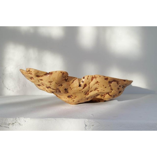 Large Swedish Folk Art Burl Curly Birch Bowl, 1980s For Sale - Image 10 of 16