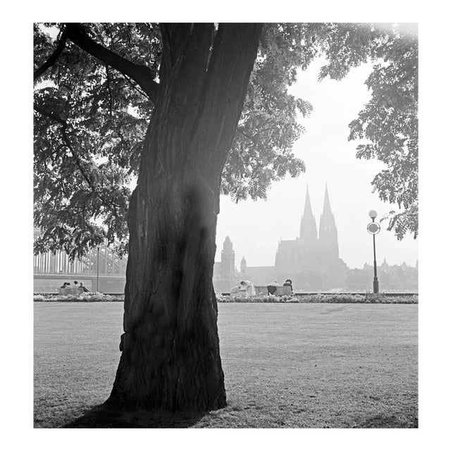 Cologne 1935, Germany, 2012 For Sale