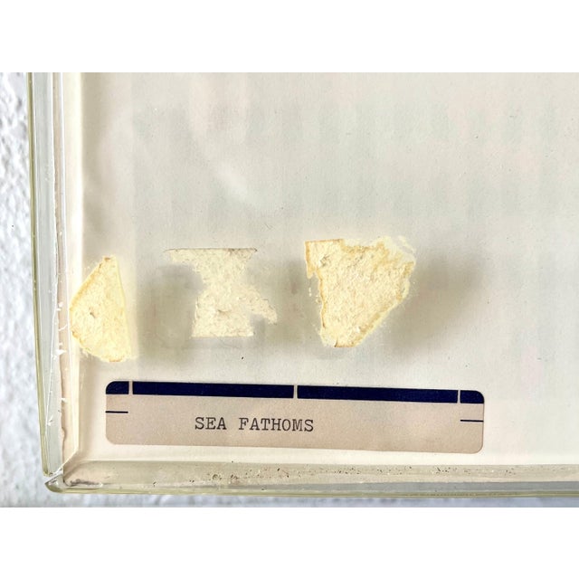 Yaacov Agam, Agam Lenticular Kinetic Agamograph Hand Signed numbered Israeli Kinetic Op Art For Sale - Image 13 of 16